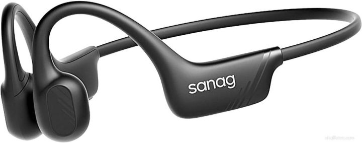 Review SANAG B21S